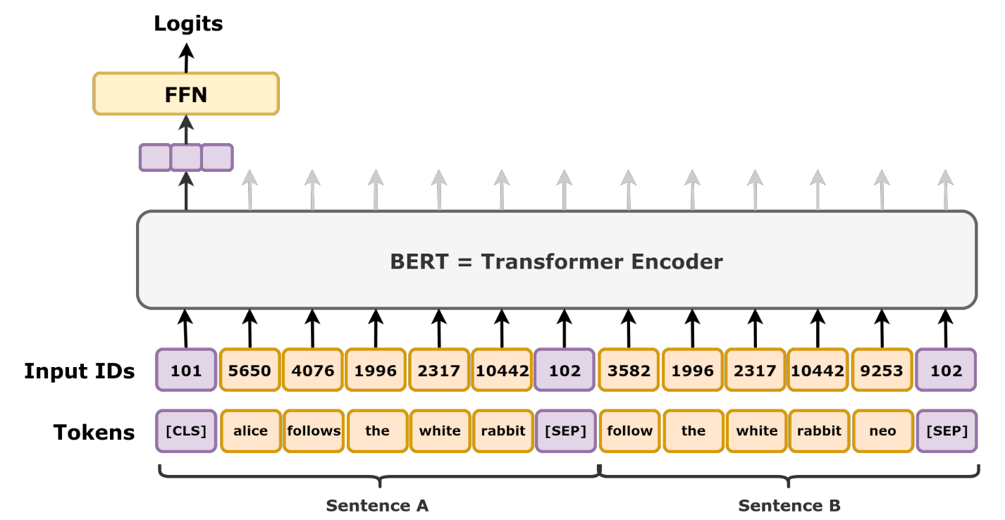 BERT fine-tuned for a token-level tagging task: each token’s contextual representation feeds a small per-token classifier. The same pre-trained body supports sentence classification (read the [CLS] token), tagging (read every token), and span extraction (predict start/end positions) with only the output head swapped. Diagram: Daniel Voigt Godoy, CC BY 4.0, via Wikimedia Commons.